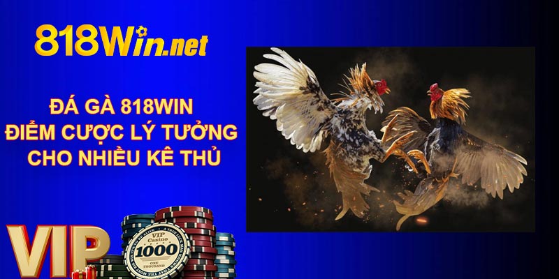 Đá Gà 818Win - Điểm Cược Lý Tưởng Cho Nhiều Kê Thủ