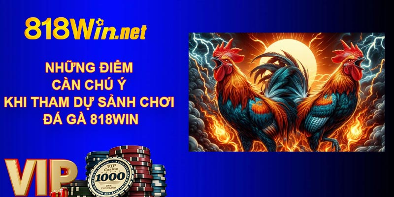 Những điểm cần chú ý khi tham dự sảnh chơi đá gà 818WIN