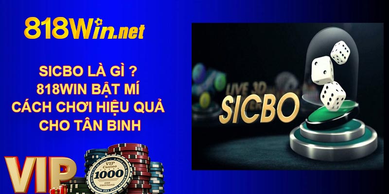 Sicbo Là Gì ? 818Win Bật Mí Cách Chơi Hiệu Quả Cho Tân Binh