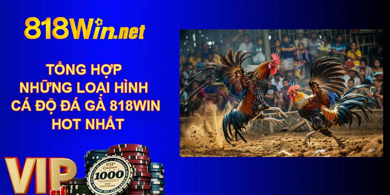 Tổng hợp những loại hình cá độ đá gà 818WIN hot nhất